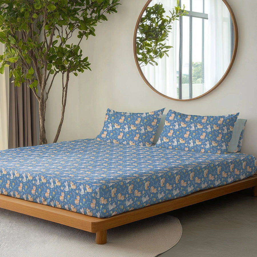 Duvet Cover | Cutie Cats | 100% Cotton | Size : Double