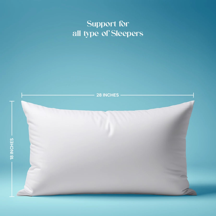 Pillows (Pack of 2)
